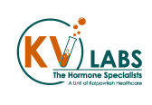KV Labs Logo